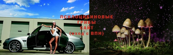 spice Белоозёрский