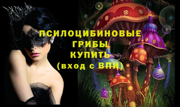 spice Белоозёрский