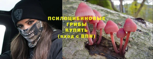 не бодяженный Белокуриха