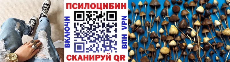 купить  цена  Коркино  OMG ТОР  Галлюциногенные грибы мицелий 